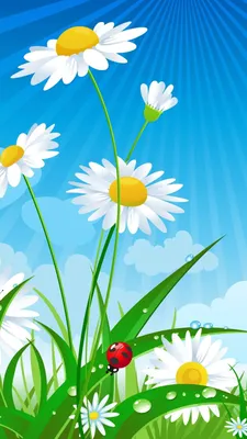 Summer Wallpaper for 1080x1920