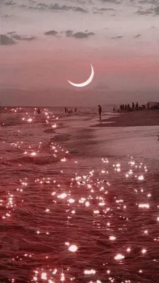 обои на телефон 4к wallpaper mattrix｜TikTok Search