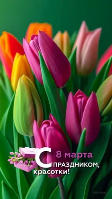 Видеопроект на тему \" Поздравление учителей на 8 марта\" (8 класс)