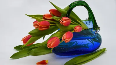 https://ru.pinterest.com/OlesyaPin/8-%D0%BC%D0%B0%D1%80%D1%82%D0%B0/