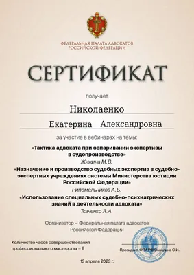 Презентация по обществознанию на тему \"Сам себе адвокат\" 11 класс