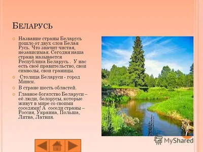 Выставка рисунков «Беларусь – мирная страна» начала работу в окнах редакции  \"В\" | Новости Гомеля