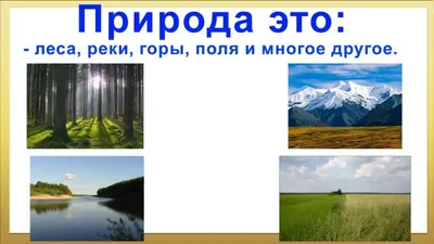 Поделка Берегите лес от пожара №45014 - «Природа родного края!» (08.01.2024  - 16:27)