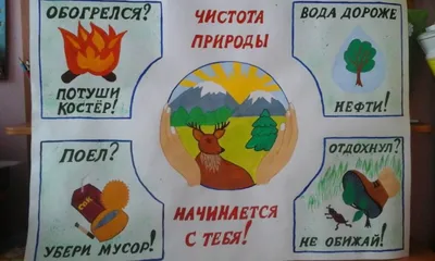 Конкурс рисунков и плакатов \"Дети против огня в лесу!\" · Завершенные  конкурсы · Муниципальное Бюджетное Учреждение Культуры «Зоопарк» -  официальный сайт