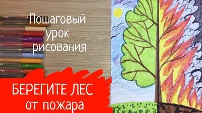 Мобильное приложение \"Берегите лес\" - EcoDao Экологичный Путь