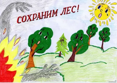 Стенгазета «Береги природу» - \"Академия педагогических проектов Российской  Федерации\"