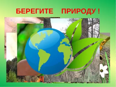Нарисовать рисунок береги природу 2 класс