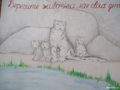 Берегите природу презентация, доклад, проект