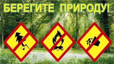 Рисунки на тему берегите природу от мусора (34 фото) » рисунки для срисовки  на Газ-квас.ком