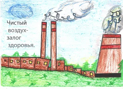 Фотоотчет «Берегите природу» (9 фото). Воспитателям детских садов, школьным  учителям и педагогам - Маам.ру