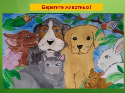 Мой рисунок на тему \"Берегите животных!\" - YouTube