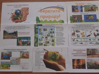 Информационно-экологическая работа с местным сообществом - Буховичская СШ
