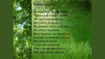 Подведены итоги областного этапа Республиканского конкурса на лучший  детский рисунок на экологическую тематику | Гродненский областной комитет  природных ресурсов и охраны окружающей среды