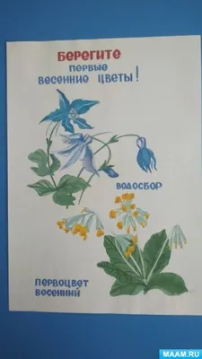 Тематические картинки-плакаты о бережном отношении к природе (9 фото).  Воспитателям детских садов, школьным учителям и педагогам - Маам.ру