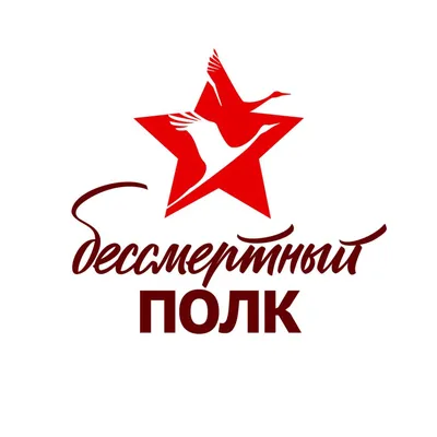 Акция «Бессмертный полк» в 2024 году в России: история, где пройдет, как  принять участие