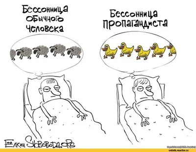 Бессонница. Как быстро заснуть: природный мелатонин, Роман Бутылка –  скачать книгу fb2, epub, pdf на ЛитРес