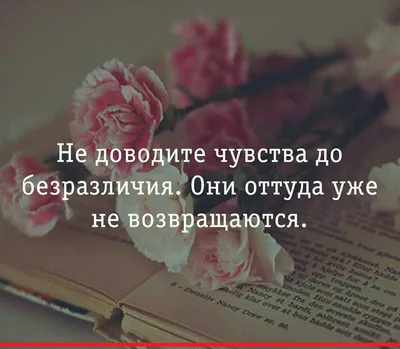 Равнодушие и безразличие? Сострадание и сочувствие помогут выжить .Лучшие  цитаты и мысли. | НЕМНОГО О РАЗНОМ | Дзен