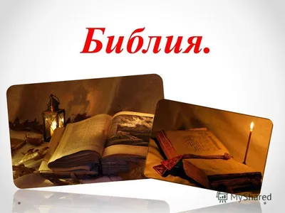 Бесплатные стоковые фото на тему белые цветы, библия, гроздь, крупный план,  открытая книга, распечатывать, священное писание, страницы, текст,  христианство