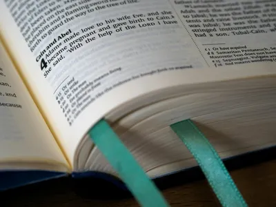 Бесплатные стоковые фото на тему библия, бумага, ветхий завет, вирши,  генезис, глава, закладка, католический, книга, крупный план, литература,  макросъемка, максросъемка, открытая книга, писание от руки, религия,  священная книга, священное писание ...