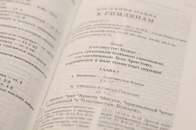 Новости
