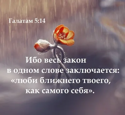 Библия» — тема урока № 5 учебника «Основы православной культуры» - Журнал  «КлеверЛаб»