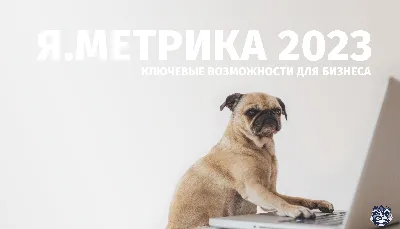 Бесплатные стоковые фото на тему covid, бизнес, в помещении, взрослый,  видео вызов, видео конференция, видеозвонок, виртуальная встреча,  внештатный работник, делать заметки, дневной свет, домашний кабинет,  женщина, интернет, коммуникация, корона ...