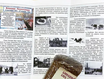 Я говорю с тобой из Ленинграда, страна моя, печальная страна…» | Папмамбук