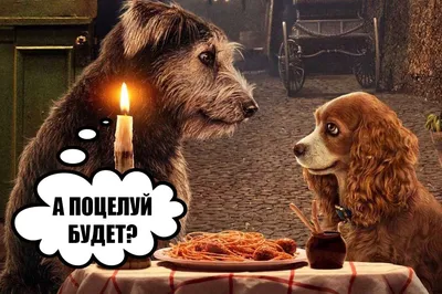Историческая карикатура и сложный юмор. Почему «Чу! Бродяга» — комикс не  для всех | Канобу