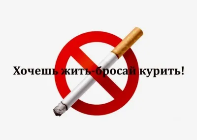 Бросить Курить Этикетку Бросить Курить Красный Знак Полосы Бросить Курить —  стоковая векторная графика и другие изображения на тему Баннер - знак -  iStock