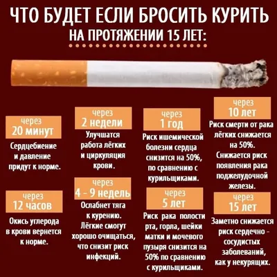 Республиканская Акция 13-19.11.2023 по профилактике табакокурения как  фактора риска развития онкологических заболеваний - Новости и объявления -  17 городская детская клиническая поликлиника