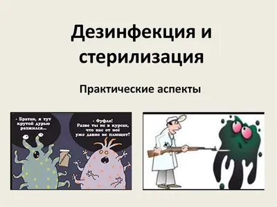 Дезинфекция производственных помещений и оборудования – тема научной статьи  по прочим сельскохозяйственным наукам читайте бесплатно текст  научно-исследовательской работы в электронной библиотеке КиберЛенинка