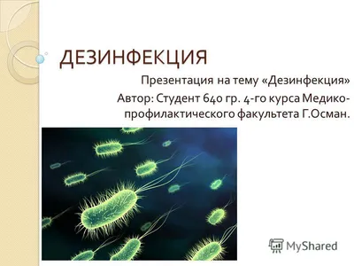 Дезинфекция – медицинская дезинфекция помещений после смерти