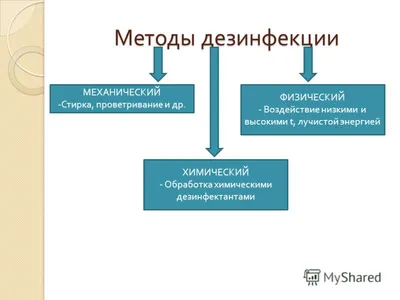 ТЕМА 6. ЭКОЛОГИЯ МИКРООРГАНИЗМОВ ВЛИЯНИЕ ФАКТОРОВ ОКРУЖАЮЩЕЙ СРЕДЫ НА  МИКРООРГАНИЗМЫ. ДЕЗИНФЕКЦИЯ. СТЕРИЛИЗАЦИЯ. АСЕПТИКА. АНТИСЕПТИКА. РОЛЬ  ОБЪЕКТОВ ОКРУЖАЮЩЕЙ. - ppt télécharger
