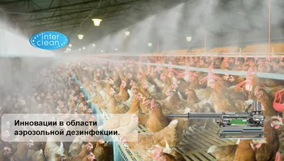 Японская Версия Плаката Пропаганды Дезинфекции Рук Пожалуйста Сотрудничать  С Дезинфекцией Рук Чернобелая Версия — стоковая векторная графика и другие  изображения на тему Антисептик - iStock