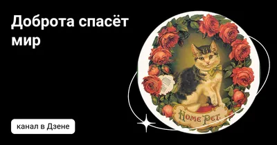 Презентация на тему \"Доброта спасёт мир\".