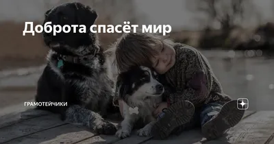 Доброта спасёт мир | Записки учителя | Дзен
