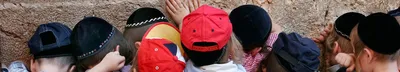 Коллекция Деревенских Линейных Иконок Сотрудничество Общение Поддержка  Единство Доверие Синергия Вектор Поощрения И Линейная Иллюст — стоковая  векторная графика и другие изображения на тему Адаптация - iStock