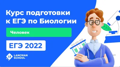 Обществознание. ЕГЭ. Составное задание высокого уровня сложности:  подготовка доклада по заданной теме (Оксана Рубова, Ольга Чернышева) -  купить книгу с доставкой в интернет-магазине «Читай-город». ISBN:  978-5-91-724240-8