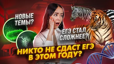 Калужская область: «Продолжается региональный проект «Ты сдашь ЕГЭ!» |  ФЕДЕРАЛЬНАЯ СЛУЖБА ПО НАДЗОРУ В СФЕРЕ ОБРАЗОВАНИЯ И НАУКИ