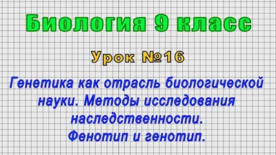 Тема «генетика» — Новости — Научно-популярный журнал «ИКСТАТИ» —  Национальный исследовательский университет «Высшая школа экономики»
