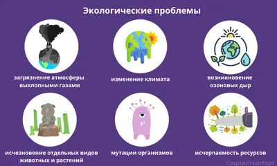 Глобальные проблемы 2019–2024