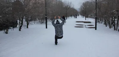 Школа безопасности. ПДД - Официальный сайт лицея №11 Новокузнецка
