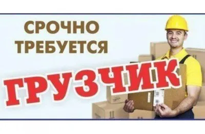 Какие люди на самом деле работают грузчиками? | The Жизнь | Дзен