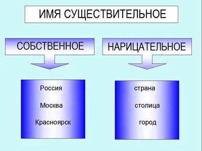 Проект в 6 классе «Имя существительное»