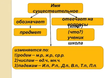 Русский язык. Собственные и нарицательные имена существительные. Большая  буква в именах собственных - YouTube