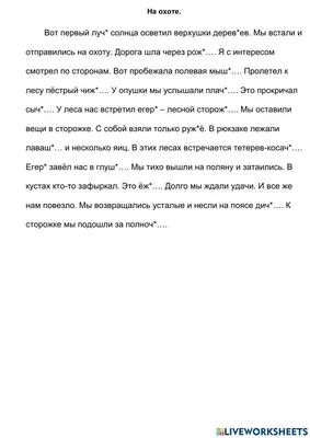 Презентация по русскому языку \"Имя существительное\" - Презентации - Русский  язык и литература - Pedsovet.su