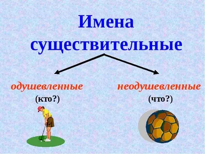 PPT - Урок русского языка в 6 классе PowerPoint Presentation - ID:3482084