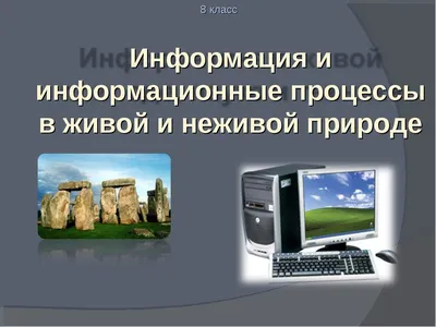 Презентация на тему: \"Информация и информационные процессы Презентация к  уроку 2.\". Скачать бесплатно и без регистрации.