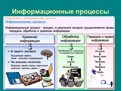 Необходимая и достаточная информация о построении и связях «цифровых» сетей  для неспециалиста | Публикации | Элек.ру