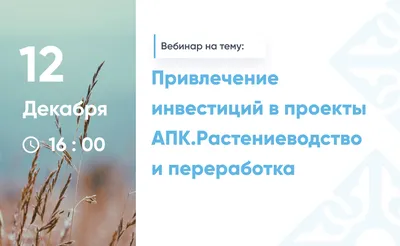 долгосрочные инвестиции бизнес светлые и темные темы Rgb цветные значки  набор Иллюстрация вектора - иллюстрации насчитывающей линия, план: 226822938